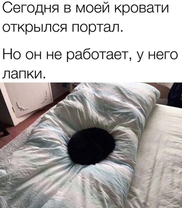 ���� ���� ����� ���������� �� ������ �� ������