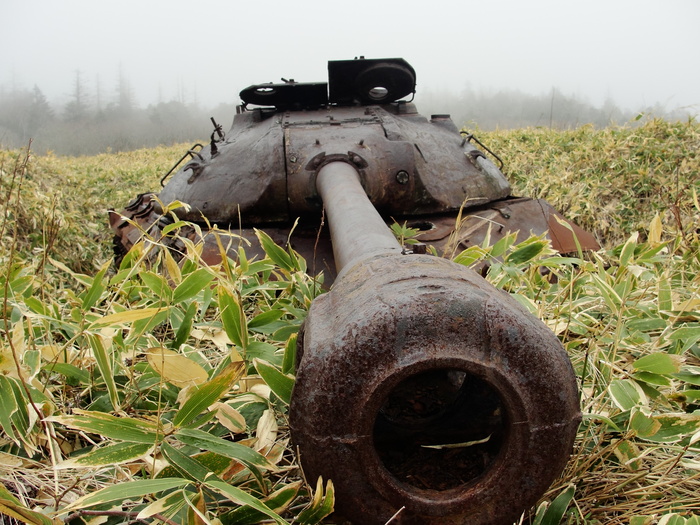 ����� � ������� 2022-�. �������, ��� ������ �������� ����� �� ������������ ������ ��� ���� ��������. ���������� "����������", ����������.