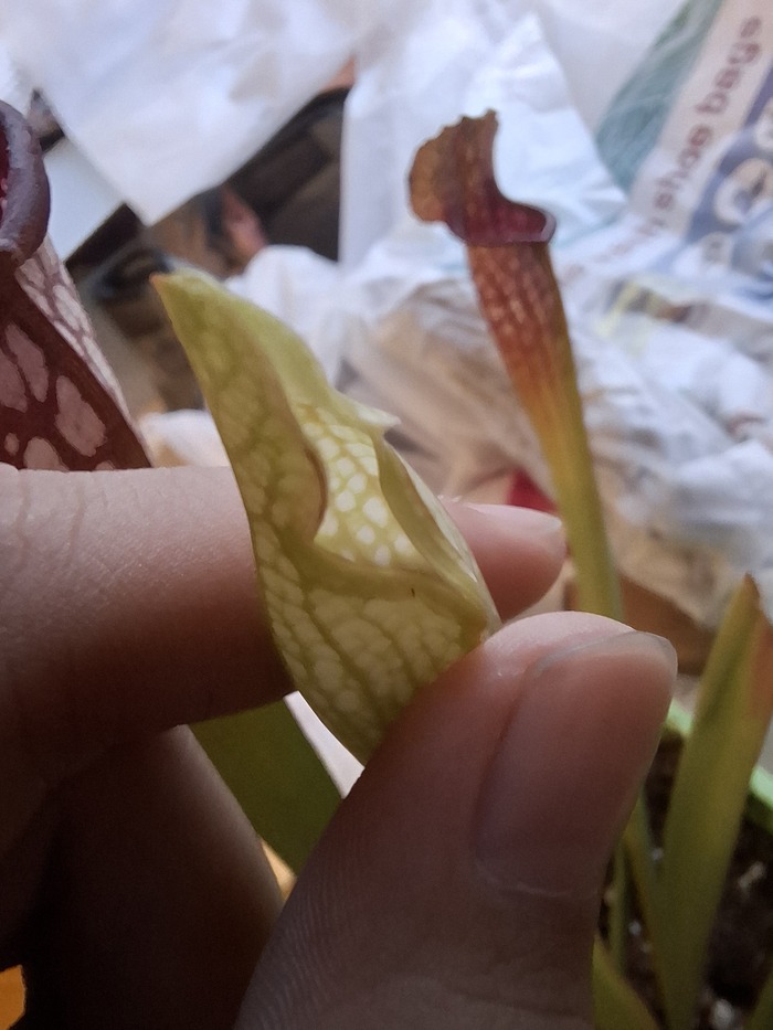 Ещё чуть чуть