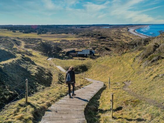 ���������: ����� ��������