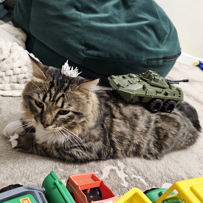 ������� ������� ���������