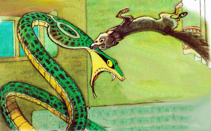 Иллюстрация <a href="https://pikabu.ru/story/skazka_tsarudav_13690995?u=https%3A%2F%2Fnukadeti.ru%2Fskazki%2Frikki_tikki_tavi%3Fysclid%3Dmlkz8mw615664394000&t=%D0%BE%D1%82%D1%81%D1%8E%D0%B4%D0%B0&h=8c14e7c714d9d8bd55f16aa0c54267b843480632" title="https://nukadeti.ru/skazki/rikki_tikki_tavi?ysclid=mlkz8mw615664394000" target="_blank" rel="nofollow noopener">отсюда</a>.