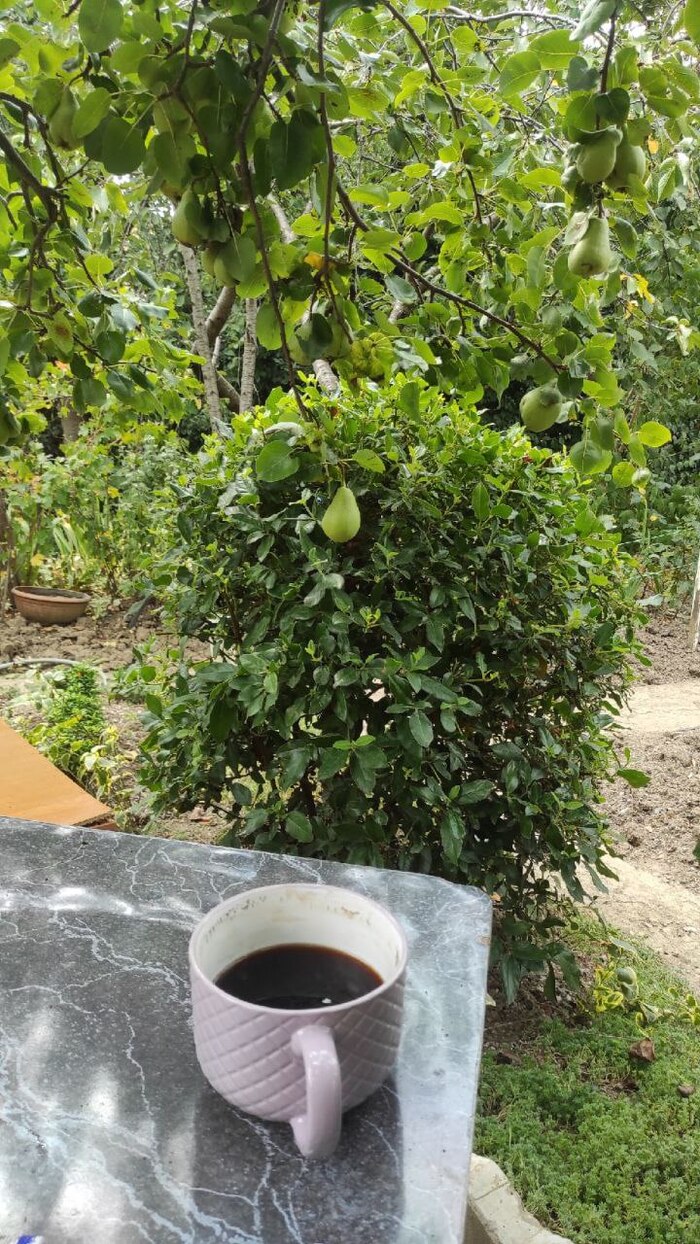 Дело было летом