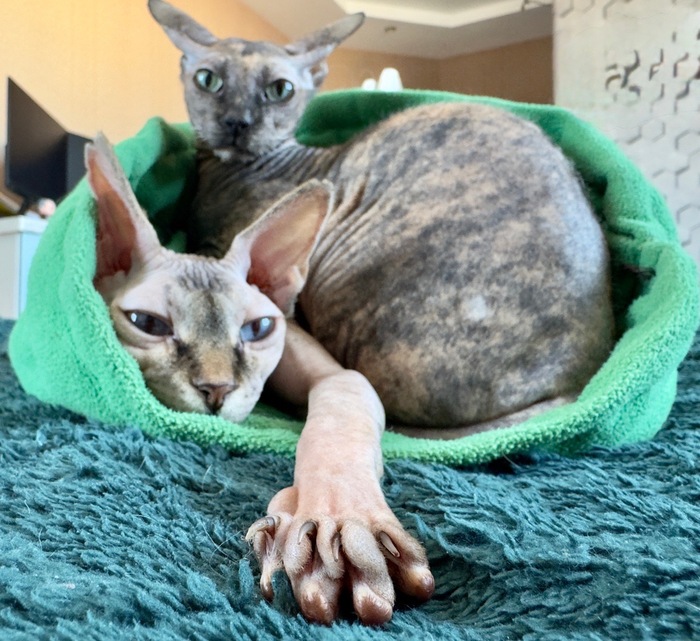 ����, ������� ����������� ������� 500 ������! ������, ����������:) �������, �� ����������:))