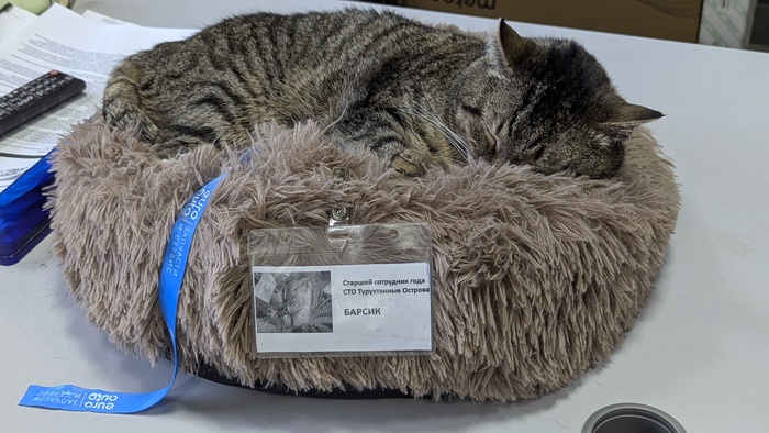 ���� ������� ���? ���������� ����������� ����� ������� �� ������� �����!