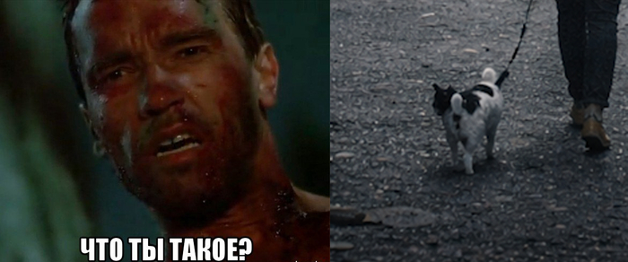 �� ��� ������ ������� ������. ��-��, ��� - �����