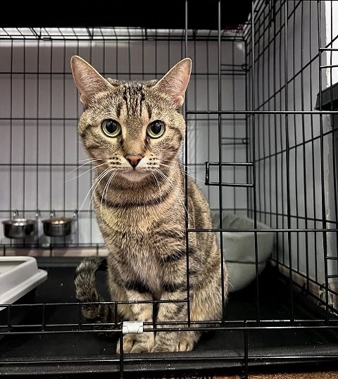 ���� � ������