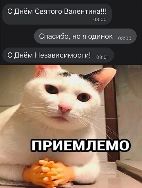 � ���� ������� ���������!