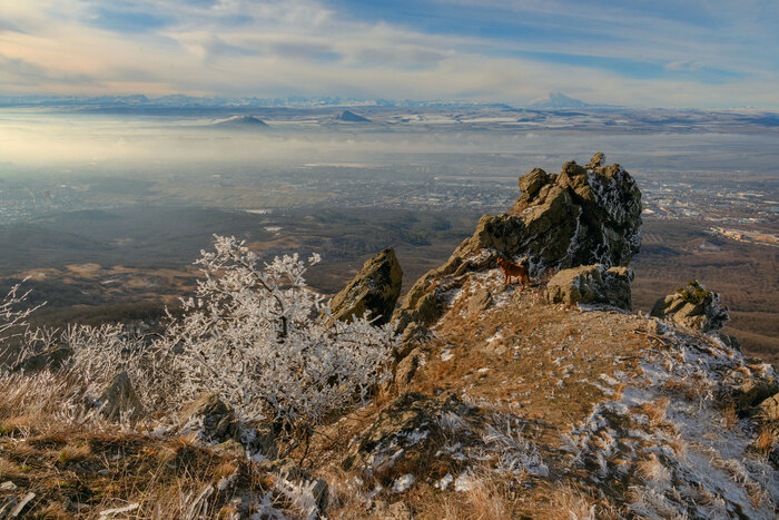 ������ �����