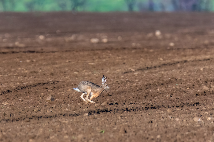 ���� �� ����