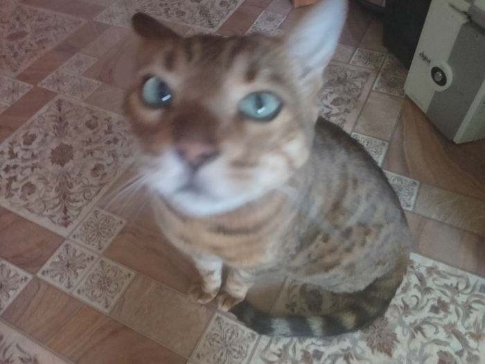 � ���� ��� ��� ��������;)