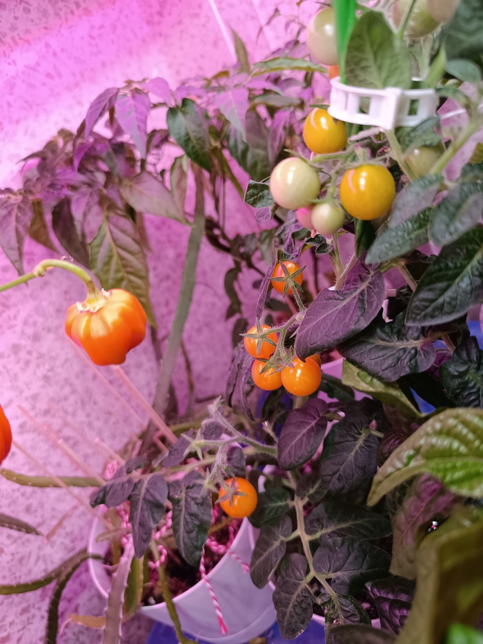 �� � ������ �� ������ ��������� ������ �����. �� ������, ���� ����� ������� � ������� ������, ����� ������, ����� ��� � �������� - ��� �������)