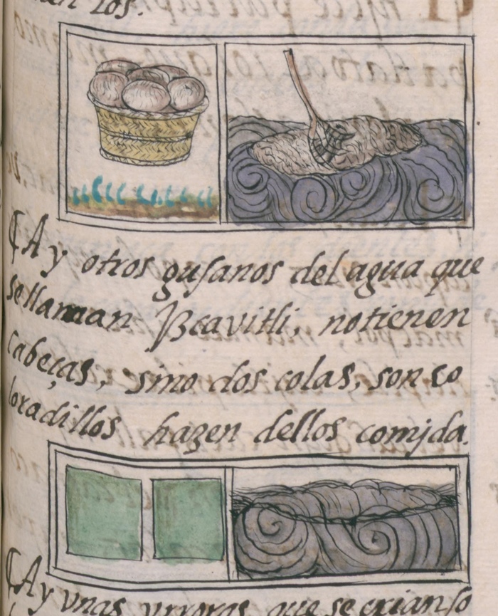 ��������� ��������