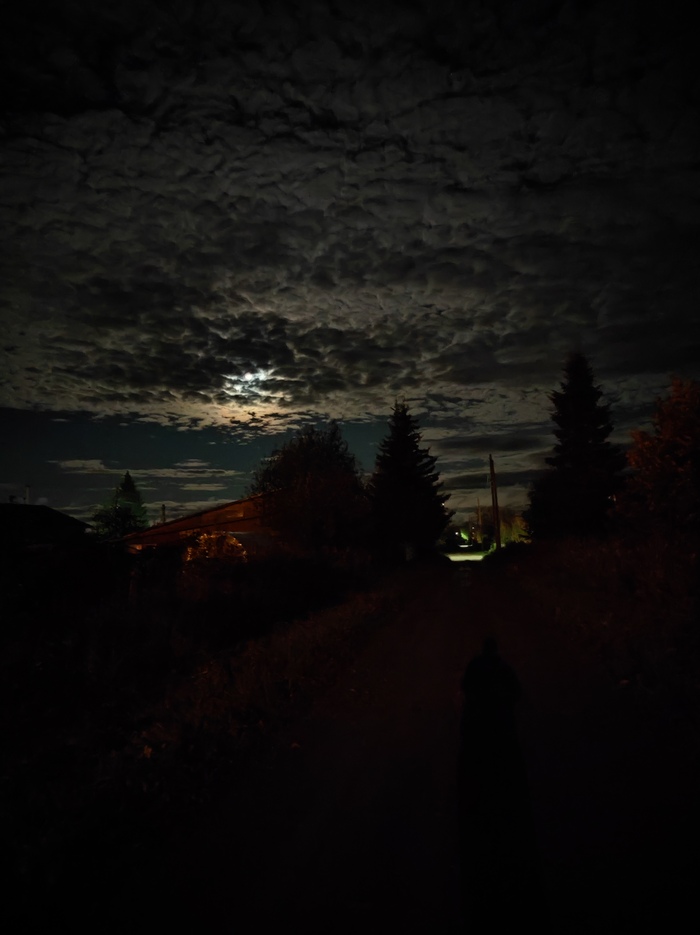 ������� ����������