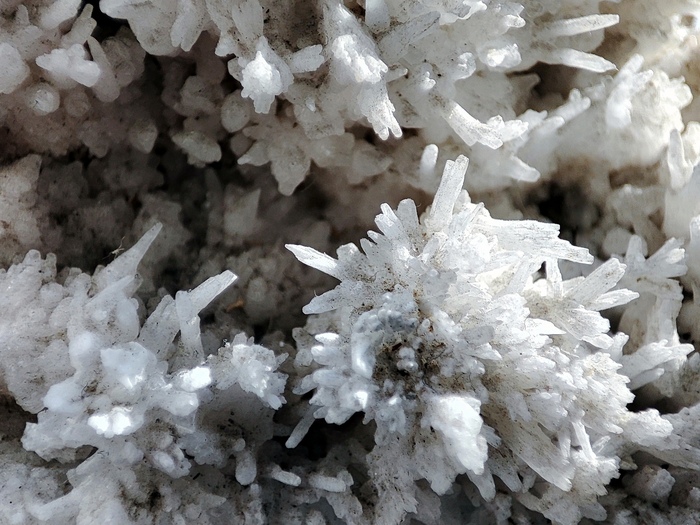 ���������-���������� ��������� ���������. ������������� ����� ��������� (��������). ������� �� ������� ���������, ���� ���