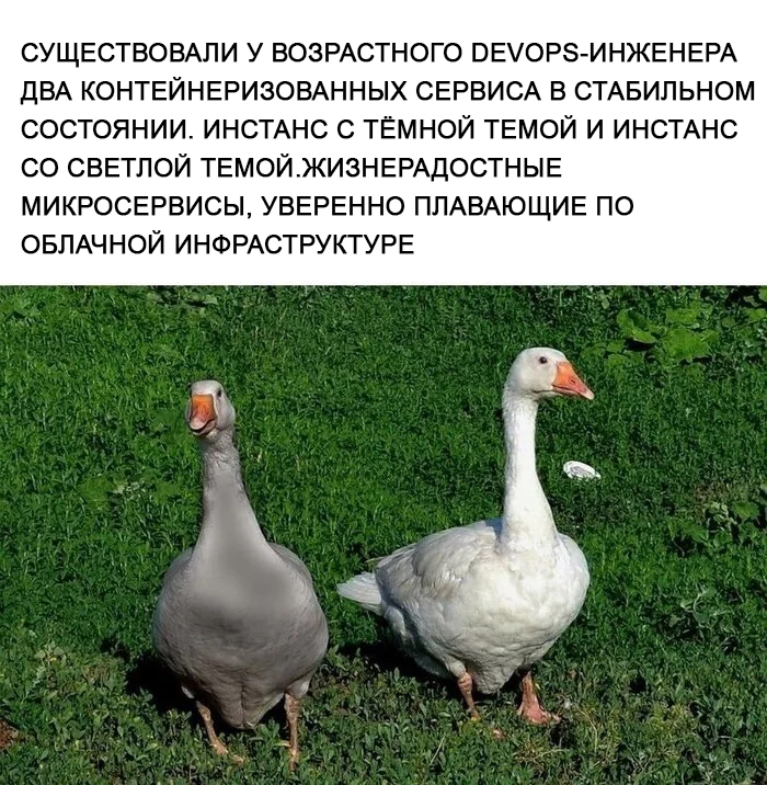 Ответ на пост «Птички»