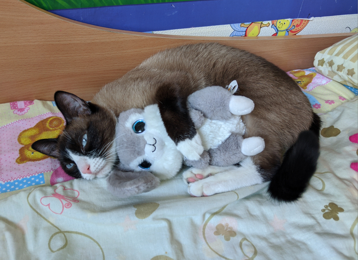 ���� � ������� ��������