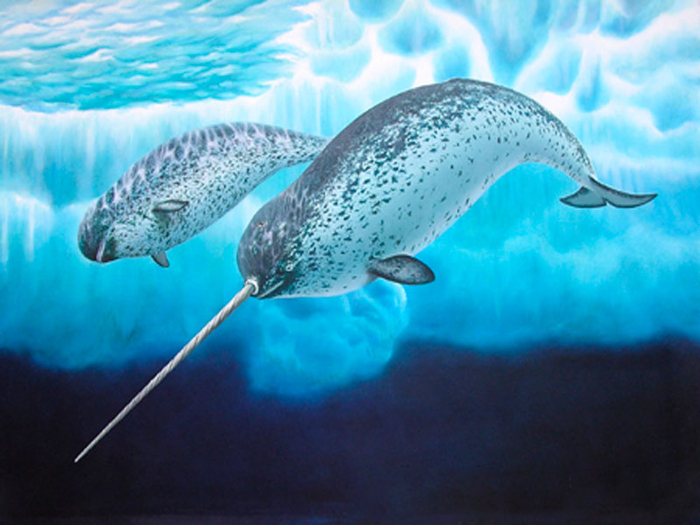 ���� � ��������� � �� ��������� ����� ����� ������, ��� � ���������� ���������. ������� ��� ��� ��������.