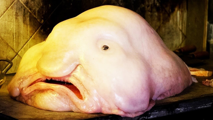 � ��� ������ �� ������ ����� � ������ 3�!