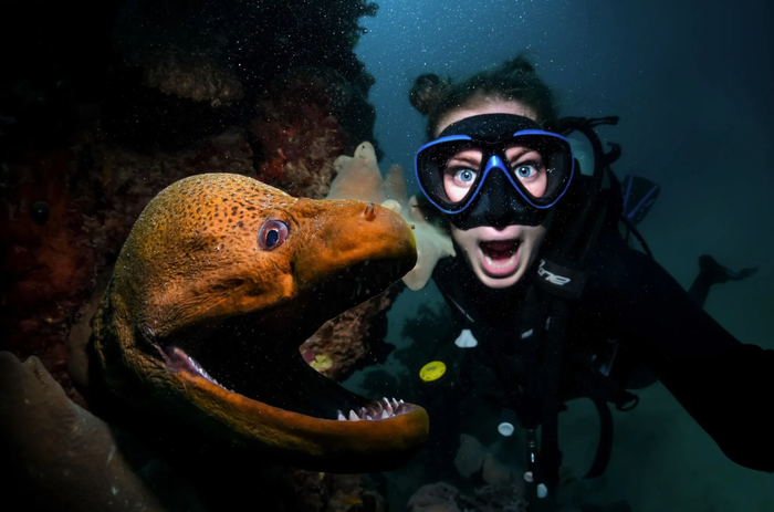 ����������, ��� ������� ��������� ������.