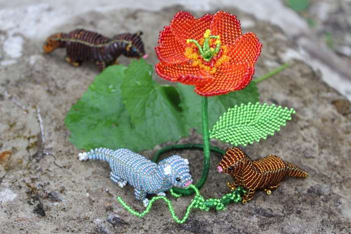 �������� �������� � �����))