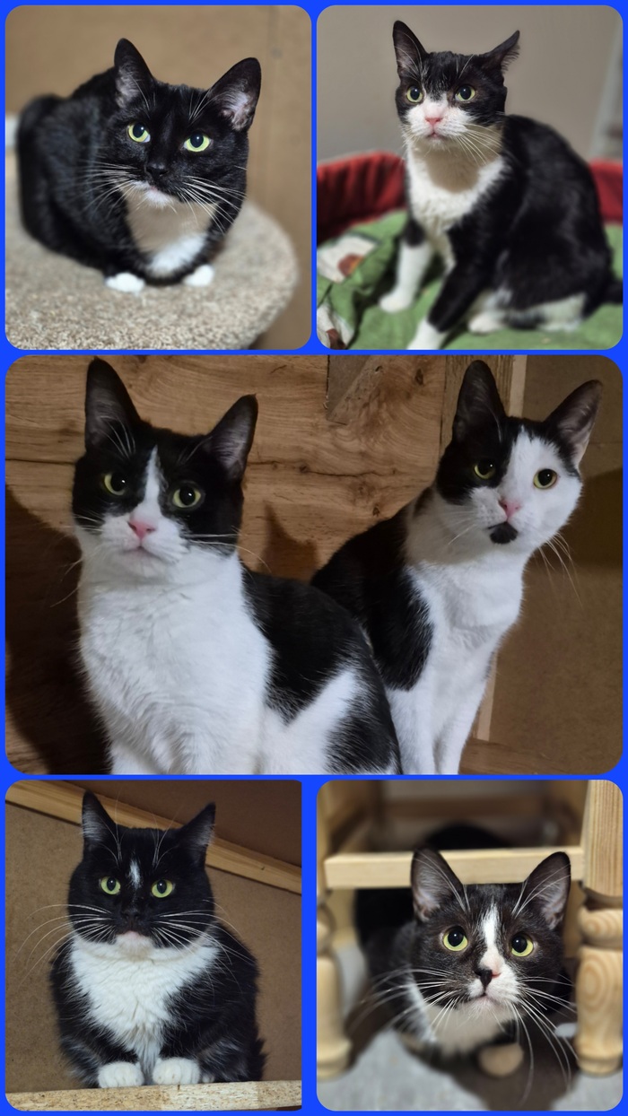 ����, ������, �������, �����, �������, ����.