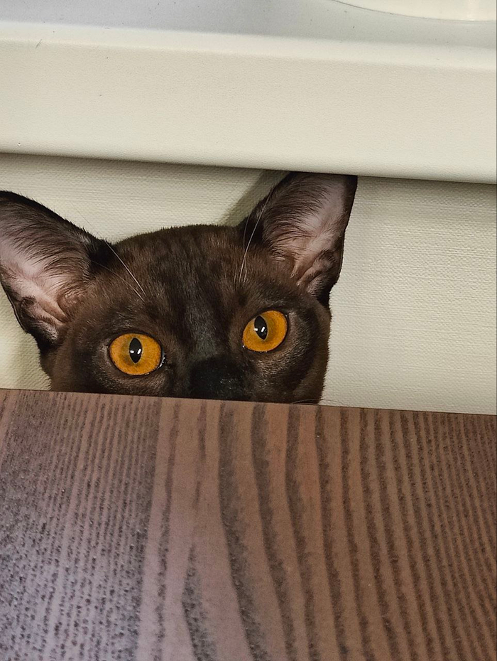 ����������