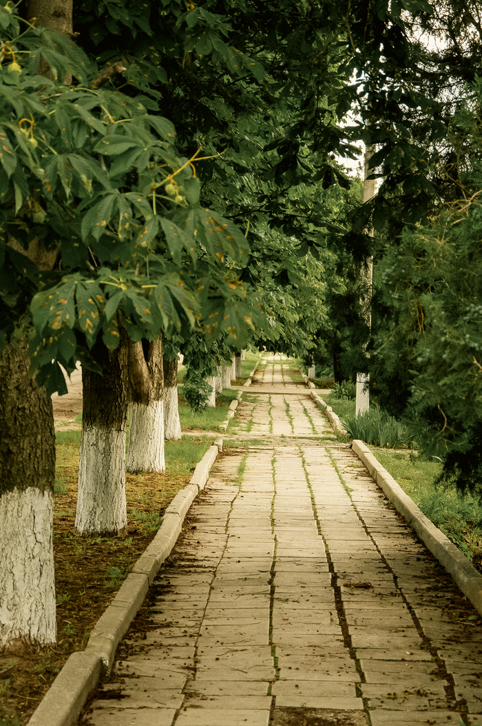 ���������� �����