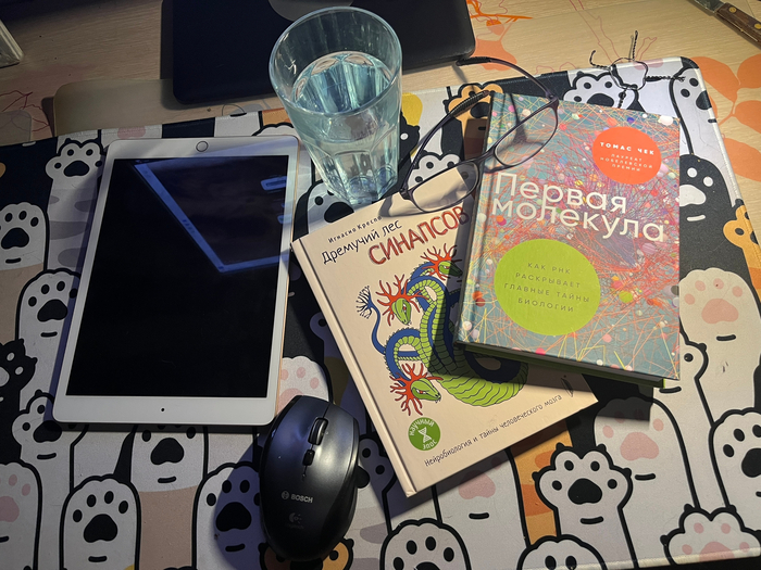 ����������� ����� ����� ����