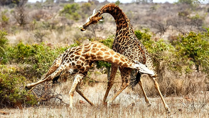 �� �������� ������������ ������� �����. ���� ��� �������������. ������� ��������� ������ ��������� ������ ������������.