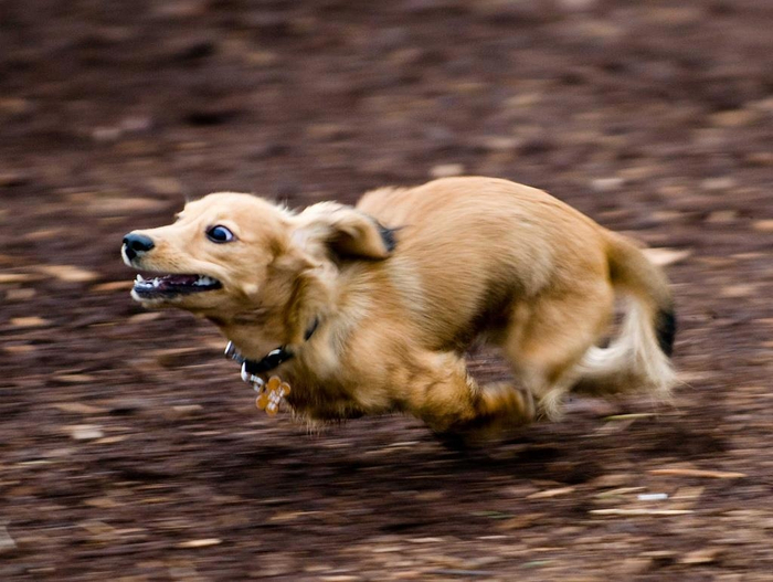 �������, ����� ���� � ��� ��� ���� ������?