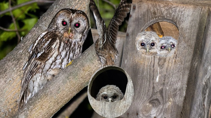 ���� ���� �������� ���������� �� 2 �� 10 ���������� ����������. ������� ��� ��� ������ ���������� ����� ��������� ���� �����, ���� ��� ������ ������� ������ ������� ������� ������ ������.