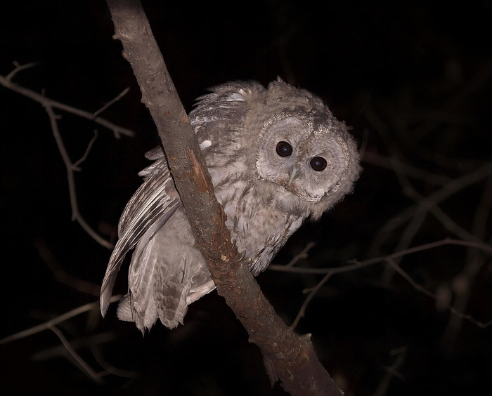 ����� ��������. ����������� �����!