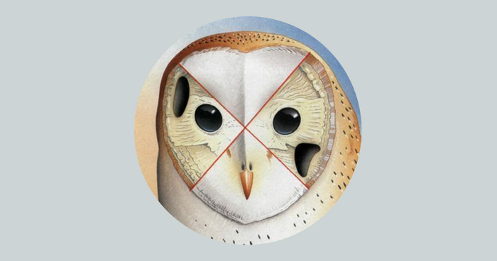 �� �������� ����� ���� ������. �� � ����������� ��� ����������� ����� ����� ��.