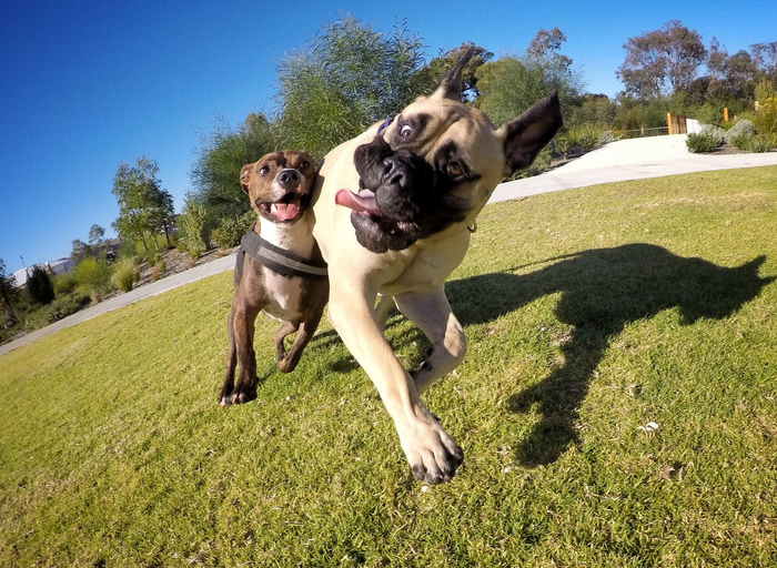 ������ � ���� ������������ ������ ������ � ���������� �������� ����.