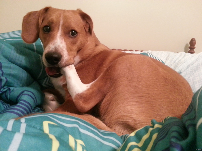 ������ ���� ����� �� ���������.