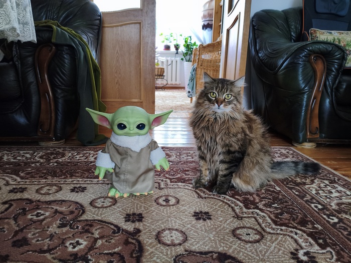 ����� � ������