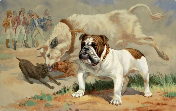 ���� ����� �������� ����������� ��� ������ ������. � 18-19 ����� ����� ��������� �������� ����, � ������� �� ��������� ����, ���������� ��� � �����.