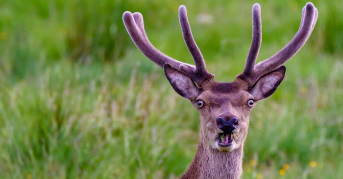 �� ���� ������� ����������, �� ��� �� ����� ����������, ��� ���� ���������!