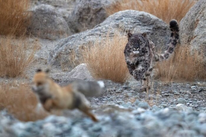 � ��, ����, ��� ������ ���-���! � �� � ����� � �� ���� ������...