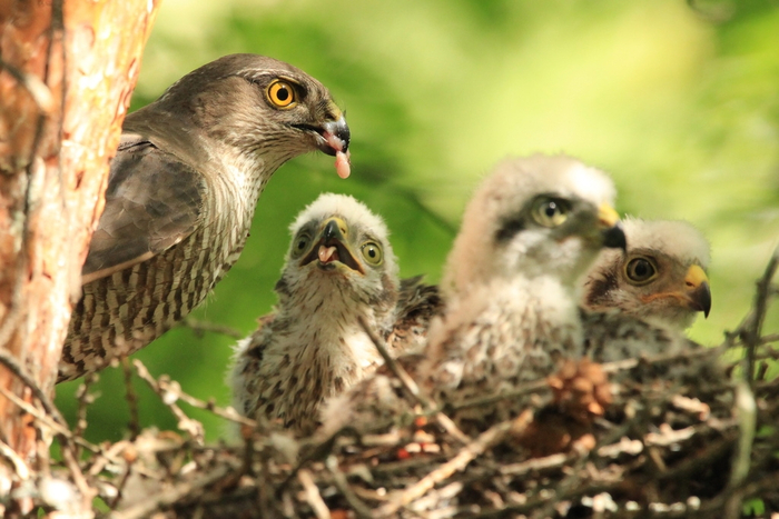 � ����, �� ��� ���������! � ���, ��� �� ����� ���!