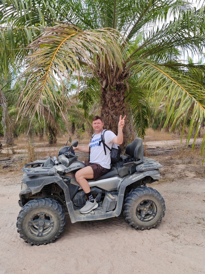 ������ ���� ������������ ���������