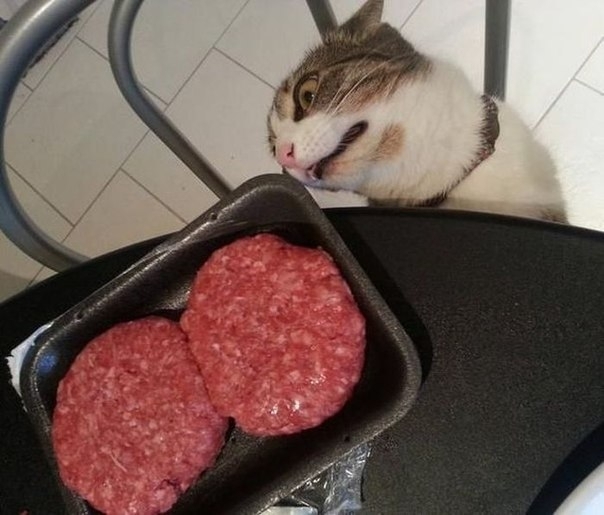 Миссия невыполнима