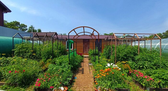 2024 ��� - ��������� ����������� ����