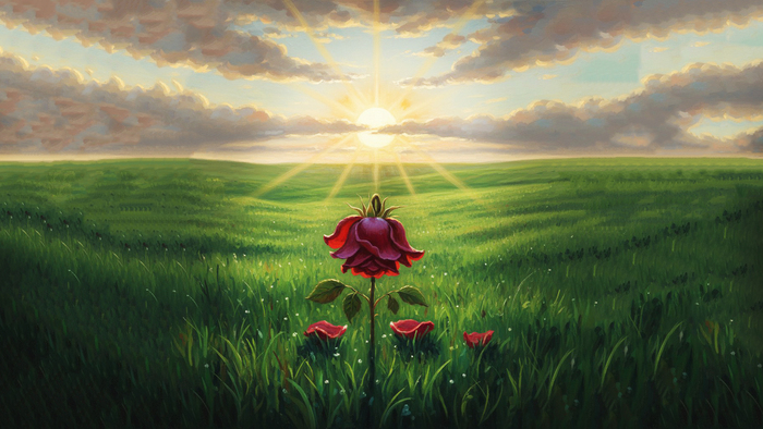 �������������� �������� ���� ������ ��������