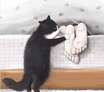 Я тоже спал, когда ты меня за лапы потянул,