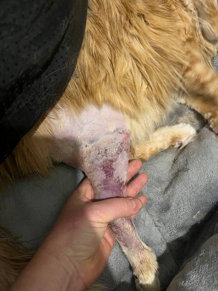 ����� ������� ��������