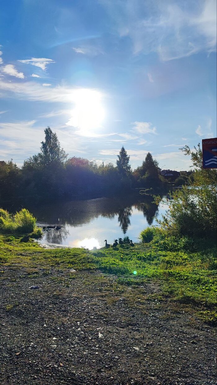 ������ �������