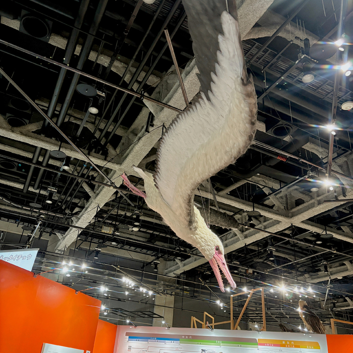 Захожу на посадку!