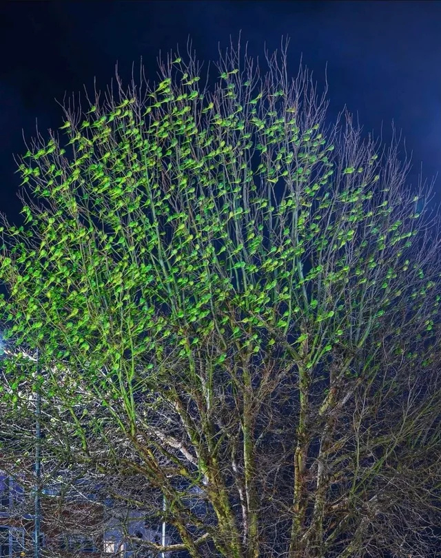 � �������� ��������� �����, ��� ������� �������� ������� ���� � ������!